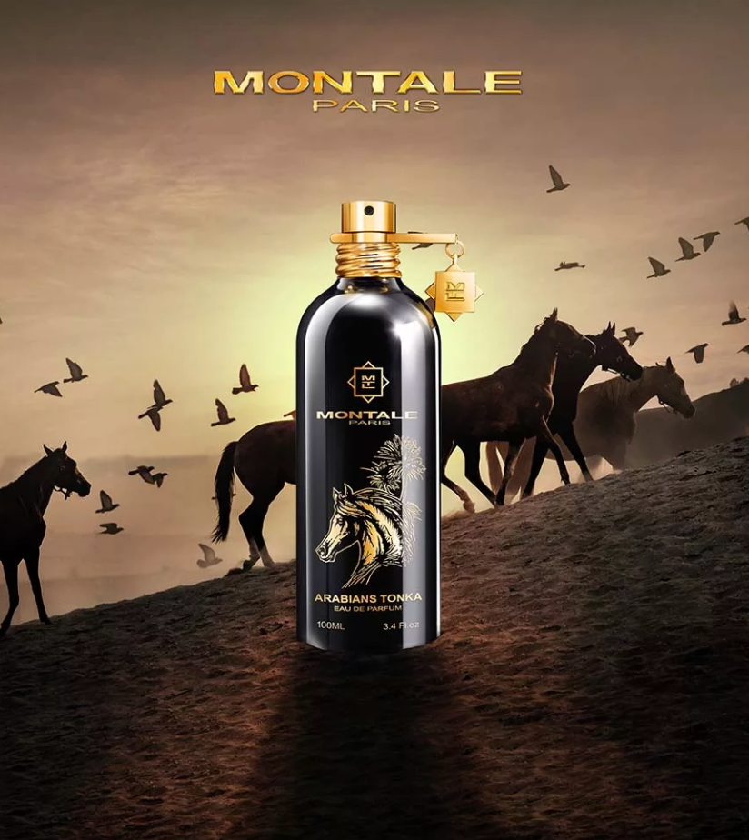 Montale arabians tonka